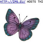 Tattoo Design: 1128 (in Butterfly Tattoos)