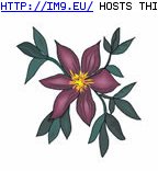 Tattoo Design: 1302 (in Flower Tattoos)