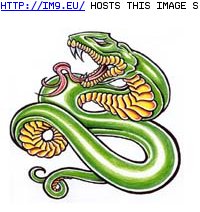Tattoo Design: 2x2_33 (in Snake Tattoos)