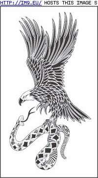 Tattoo Design: 3T-103 (in Eagle Tattoos)