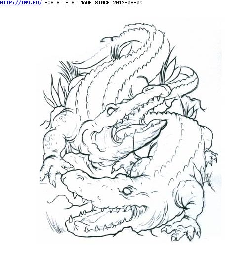 Tattoo Design: aligators (in Dragon Tattoos)