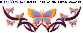 Tattoo Design: back_butterfly (in Butterfly Tattoos)
