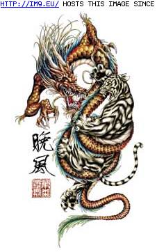 Tattoo Design: BI2-dragontiger-fight (in Dragon Tattoos)