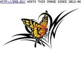 Tattoo Design: BI6-tribal-monarch (in Butterfly Tattoos)