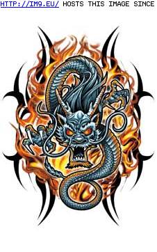 Tattoo Design: BID2-gray-redeyed-fiery (in Dragon Tattoos)