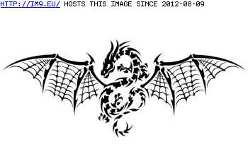 Tattoo Design: BID2-wide-black-dragon (in Dragon Tattoos)