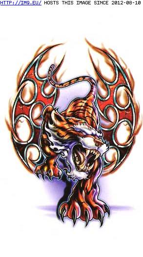 Tattoo Design: BIUL13 (in Tiger Tattoos)