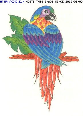 Tattoo Design: blue_maccaw (in Birds Tattoos)