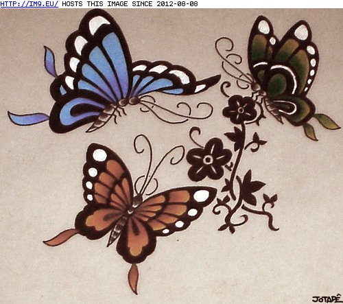#Design #Butterflys #Tattoo Tattoo Design: butterflys Pic. (Image of album Tattoo Flash))