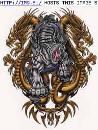 Tattoo Design: CE-2-gold-dragon-wtiger-mid (in Dragon Tattoos)