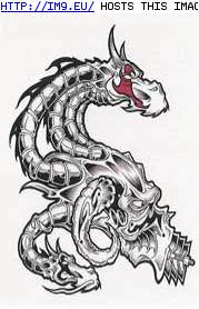 Tattoo Design: CED2-6 (in Dragon Tattoos)