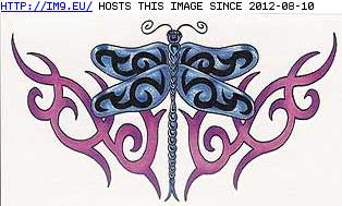 Tattoo Design: CEI-lb-blue-dfly-prpl-triba (in Insects Tattoos)