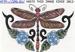 Tattoo Design: CEI-lb-brown-dfly-blue-rose (in Insects Tattoos)