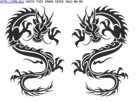 Tattoo Design: CES-black-tribal-dragons (in Dragon Tattoos)