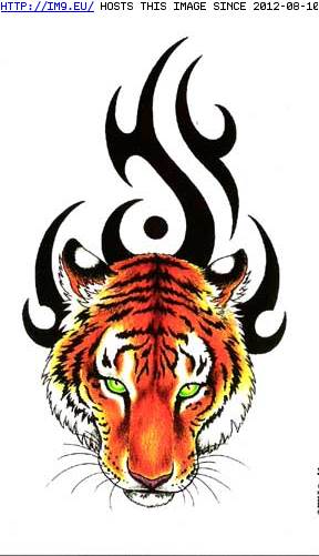 Tattoo Design: CES-tribal-tiger-head (in Tiger Tattoos)