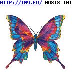 Tattoo Design: colorful_buterfly (in Butterfly Tattoos)