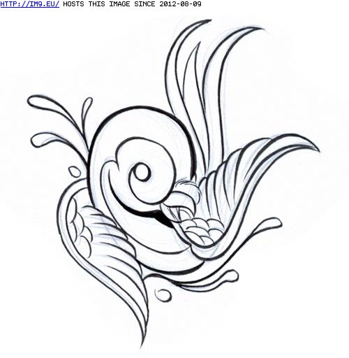 #Design #Bird #Curl #Tattoo Tattoo Design: curl-bird Pic. (Image of album Birds Tattoos))