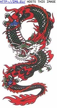 Tattoo Design: curly_dragon_tattoo (in Dragon Tattoos)