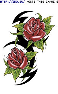Tattoo Design: DB562 (in Rose Tattoos)
