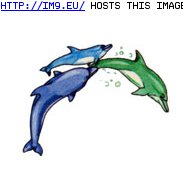 Tattoo Design: dolphin_ring2 (in Belly Button Tattoos)