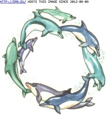 Tattoo Design: dolphin_ring3 (in Belly Button Tattoos)
