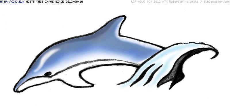 Tattoo Design: dolphin-tattoo-design-1 (in Fish Tattoos)