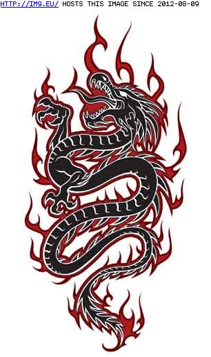 Tattoo Design: DR803 (in Dragon Tattoos)