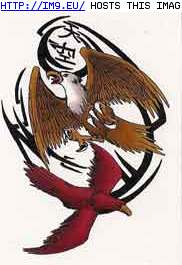 Tattoo Design: eagle_redbird (in Birds Tattoos)