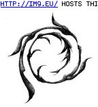 Tattoo Design: elvish_swirl_smlmed_scale (in Other  Misc. Tattoos)