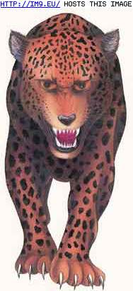 Tattoo Design: esco-giant-leopard-4x8 (in Tiger Tattoos)