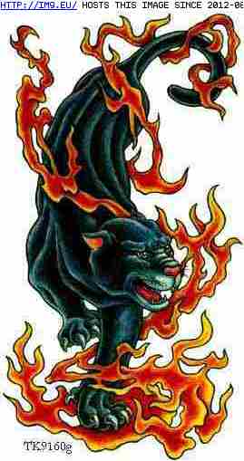 Tattoo Design: Flamepanth916 (in Tiger Tattoos)