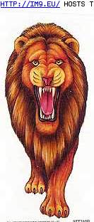 Tattoo Design: FN-2x4lion (in Misc. Animal Tattoos)