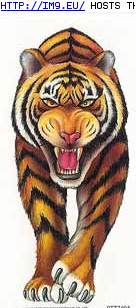 Tattoo Design: FN-2x4tiger (in Tiger Tattoos)
