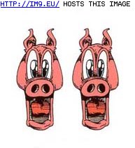 Tattoo Design: freaked_pigs_temporary_tattoo (in Misc. Animal Tattoos)