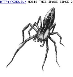 Tattoo Design: fright_spider_smlmed_scale (in Insects Tattoos)