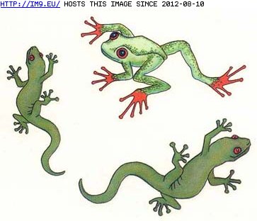 Tattoo Design: frog_gecko_tattoo (in Lizard Tattoos)