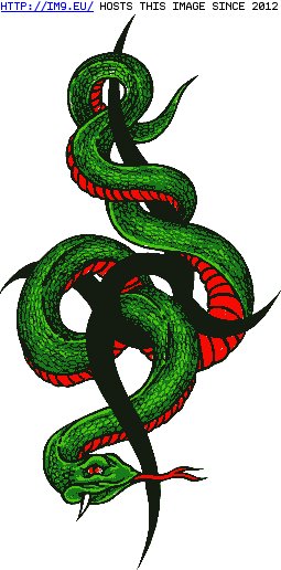 Tattoo Design: g339 (in Snake Tattoos)