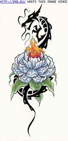 Tattoo Design: Giant-black-tribal-dragon-o (in Dragon Tattoos)