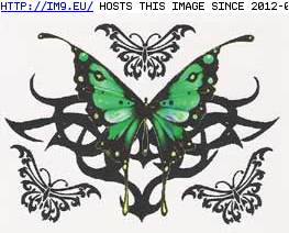 Tattoo Design: green_butterfly (in Butterfly Tattoos)