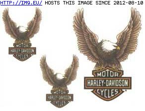 Tattoo Design: harley-eagleshield (in Harley Tattoos)