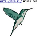 Tattoo Design: hummingbird (in Birds Tattoos)