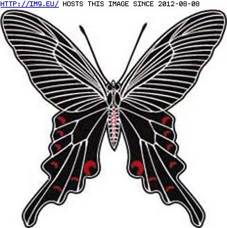 Tattoo Design: large_black_butterfly (in Butterfly Tattoos)