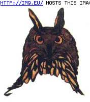 #Design #Owl #Tattoo Tattoo Design: owl Pic. (Image of album Birds Tattoos))