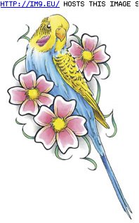 Tattoo Design: pet_bird_with_flowers (in Birds Tattoos)