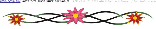 Tattoo Design: pink_daisy_band (in Lower Back Tattoos)