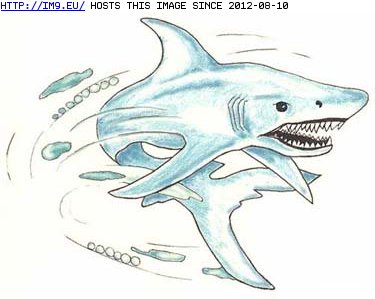 Tattoo Design: prowling_shark_tattoo (in Fish Tattoos)