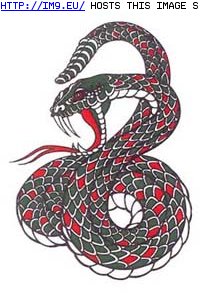 Tattoo Design: rattlesnake_striking_tattoo (in Snake Tattoos)
