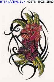 Tattoo Design: redorange-hibiscus-tribal (in Flower Tattoos)