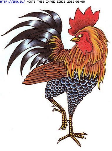 Tattoo Design: rooster2 (in Tattoo Flash)