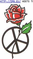 Tattoo Design: rose_peace_sign_tattoo (in Rose Tattoos)